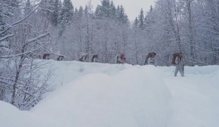 Fínsko sa obáva ruských špiónov po skončení vojny na Ukrajine