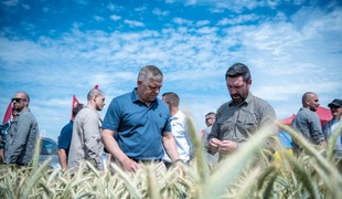 Fico varuje: Slovenské poľnohospodárstvo čelí dvom obrovským hrozbám
