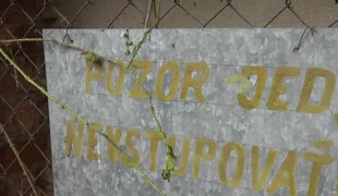 Desaťtisíce ľudí žijú v regióne kontaminovanom PCB látkami. Pripravuje sa žaloba voči štátu