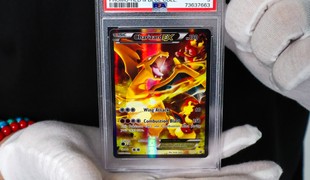 Pokémon, športové karty aj Disney Lorcana. Zberateľský fenomém prichádza na zámok v Pezinku
