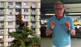 Obyčajný panelák, ktorý by ste možno obišli ukrýva príležitosť na nové bývanie: Pozrite na ten potenciál!