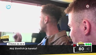 IQ TAXI