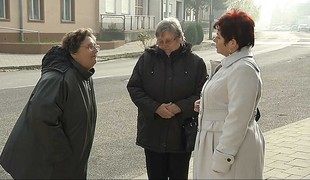 Oslava
