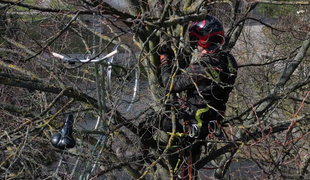 Kuriózny nález pri pieskovisku: Bicykel bol zamknutý na konári stromu