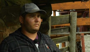 Slnko, seno, slanina 11