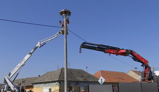 Unikátne hniezdo bocianov preložili na nový stĺp kvôli bezpečnosti