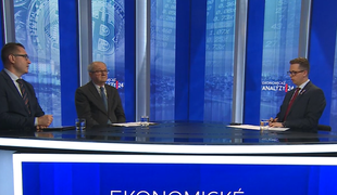 Ekonomické analýzy 24: Slovensko po Nežnej. Kam sme sa posunuli a čo nás ešte čaká?