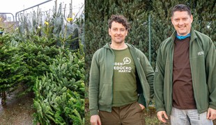 Viete, ako vybrať dokonalý vianočný stromček? Máme tipy, ktoré vám ušetria peniaze i nervy!