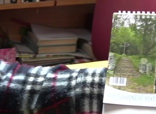 Světelné jevy orby