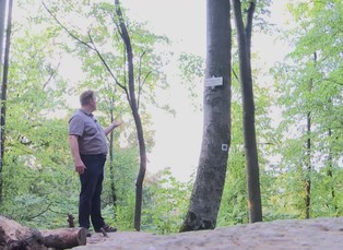 Zednářský park Nové Zámky u Litovle