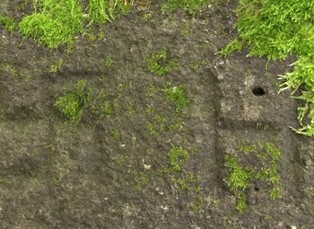 Hrad Švamberk neboli Krasíkov