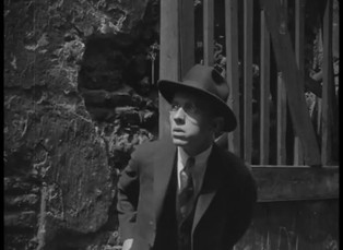 DVD aréna 7. 1. 2019