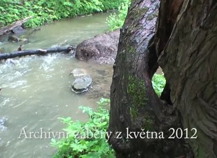 Duchové očima řeckého záhadologa