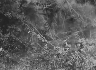 II. Světová válka - Válka eskaluje