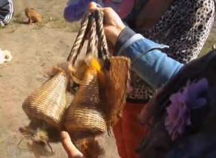 Záhady B. Foerstera