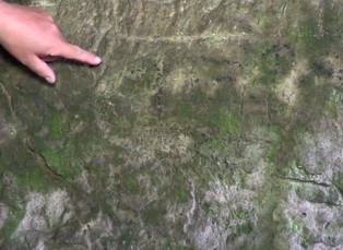 Skalní rytiny na Šaunštejně