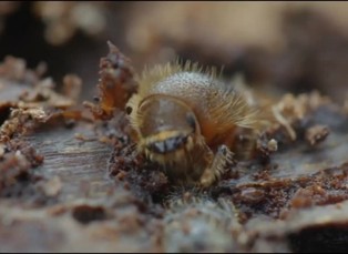 DVD aréna 24. 9. 2018