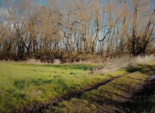 Když se cesty zkříží