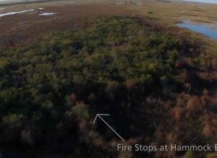 Everglades 1. část