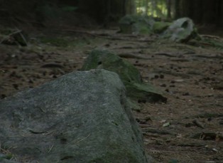 Kamenné řady a menhiry