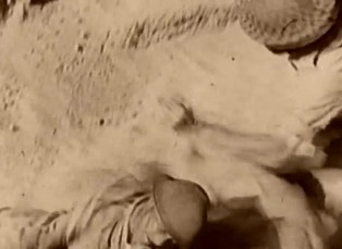 Vítězství a kontroverze u El Alameinu