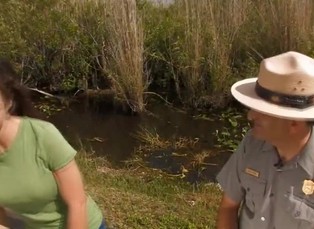 Everglades 3. část