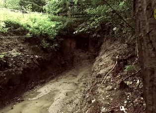 Výzkum: praxe a realita