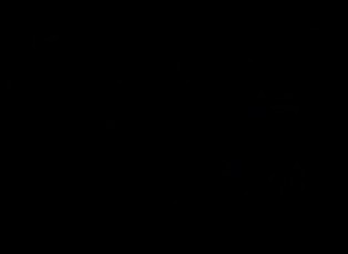 DVD aréna 12. 11. 2018