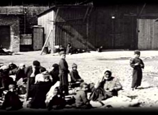 Ti druzí mrtví, romský holokaust