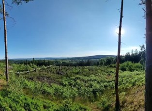 Smrtonosné bludičky