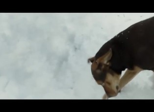 DVD Aréna 10. 6. 2019