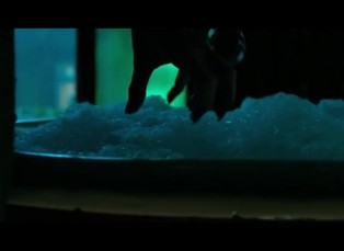 DVD aréna 3. 12. 2018