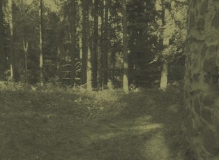 Volfštejn u Černošína