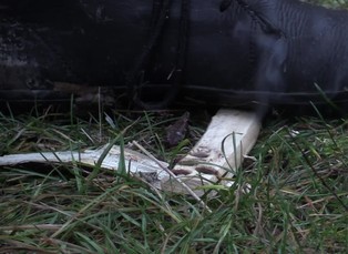 Znalosti z doby kamenné