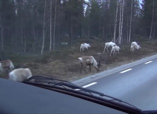 Skotsfjord 1. část