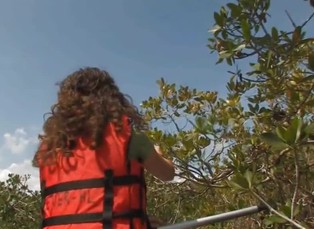 Everglades 2. část