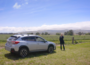 Vražda za černým pařezem