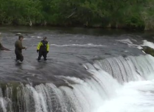 Rangers Explore Brooks Falls