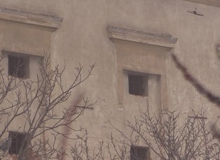 Zuzana Koubková - Blaník