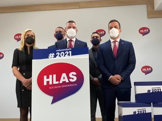 Strana Petra Pellegriniho vyzbierala viac ako 250 tisíc hlasov na referendum o predčasných voľbách