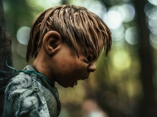 Fotograf objavil desivé miesto v nemeckom lese