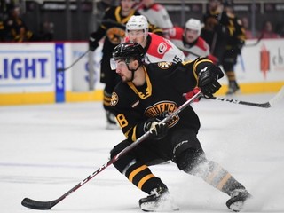 Hurá na šampionát! AHL ruší play-off, v hre 10 Slovákov