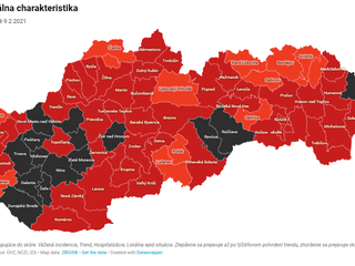 COVID AUTOMAT: Niektoré okresy prešli do čiernej farby. Toto sú pravidlá platné od 15.februára