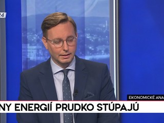 Ekonomické Analýzy 24: Za koľko budeme tankovať?