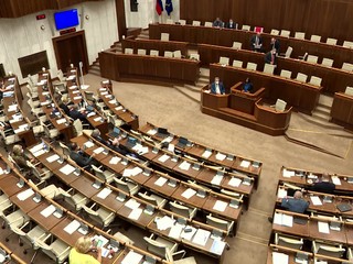 "Kolúzna väzba" ministerky Kolíkovej prešla do druhého čítania