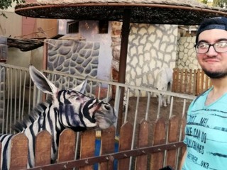FOTO: V káhirskej ZOO premaľovali osla na zebru. Fotka sa stala virálnou