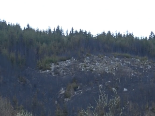 Oheň, ktorý vypukol na Kysuciach bol v ťažko dostupnom teréne