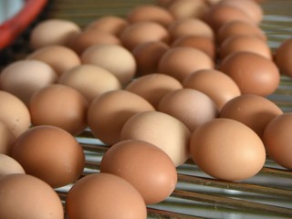 Surové vajce ako zbraň: Obyvatelia sa obávajú nečakaných útokov