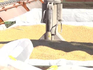 EÚ zakázala dovoz niektorých produktov z Ukrajiny: Týka sa to aj Slovenska