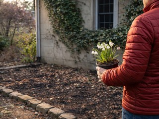 Čo vysadiť na severnú stranu? Vo februári je na to ideálny čas – TOTO funguje!
